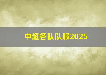 中超各队队服2025