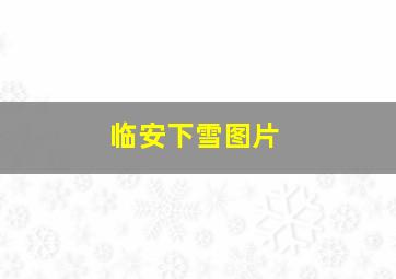 临安下雪图片