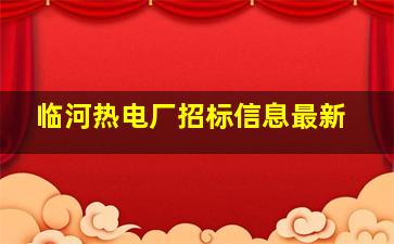 临河热电厂招标信息最新