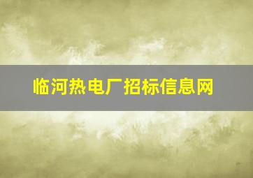 临河热电厂招标信息网