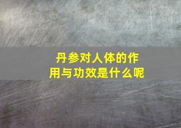 丹参对人体的作用与功效是什么呢