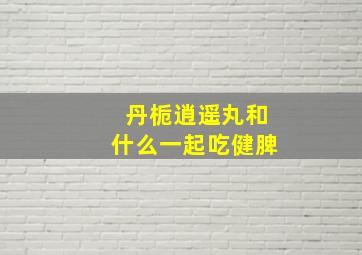 丹栀逍遥丸和什么一起吃健脾