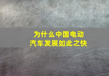 为什么中国电动汽车发展如此之快