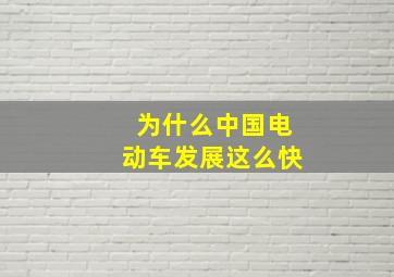 为什么中国电动车发展这么快