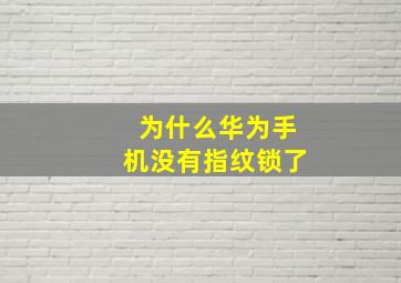 为什么华为手机没有指纹锁了