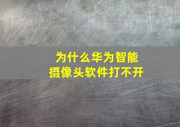 为什么华为智能摄像头软件打不开