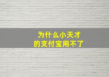 为什么小天才的支付宝用不了