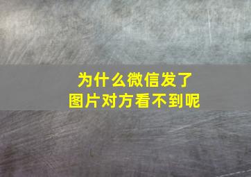 为什么微信发了图片对方看不到呢