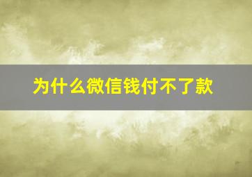 为什么微信钱付不了款