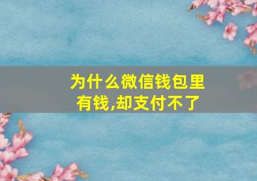 为什么微信钱包里有钱,却支付不了