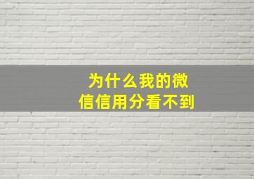 为什么我的微信信用分看不到