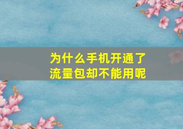 为什么手机开通了流量包却不能用呢