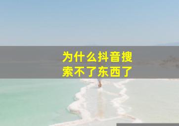 为什么抖音搜索不了东西了