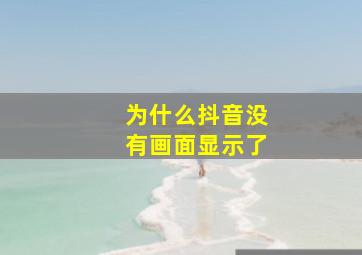 为什么抖音没有画面显示了