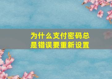 为什么支付密码总是错误要重新设置