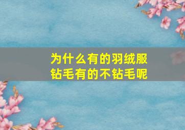 为什么有的羽绒服钻毛有的不钻毛呢