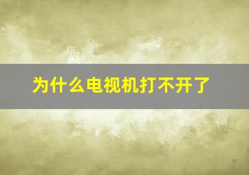 为什么电视机打不开了