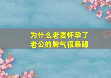 为什么老婆怀孕了老公的脾气很暴躁