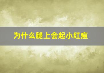 为什么腿上会起小红痘