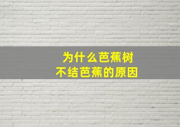 为什么芭蕉树不结芭蕉的原因