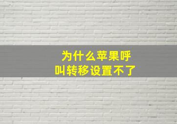 为什么苹果呼叫转移设置不了