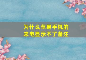 为什么苹果手机的来电显示不了备注