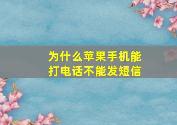 为什么苹果手机能打电话不能发短信