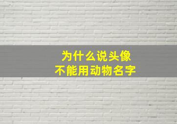 为什么说头像不能用动物名字