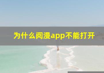 为什么阅漫app不能打开