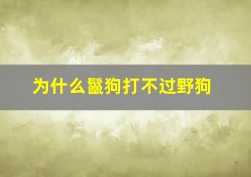 为什么鬣狗打不过野狗