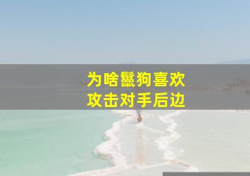 为啥鬣狗喜欢攻击对手后边