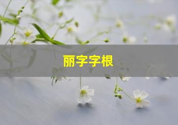 丽字字根