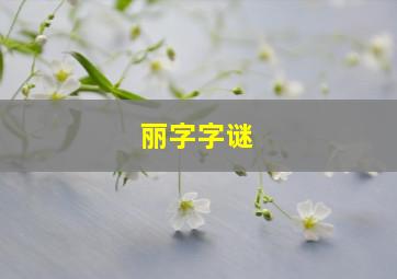 丽字字谜