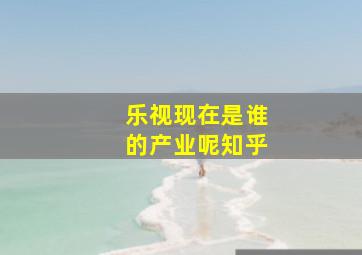 乐视现在是谁的产业呢知乎