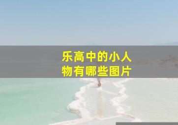 乐高中的小人物有哪些图片