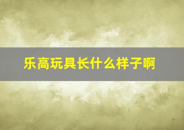 乐高玩具长什么样子啊