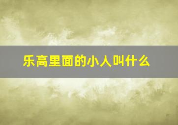 乐高里面的小人叫什么