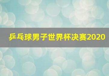 乒乓球男子世界杯决赛2020