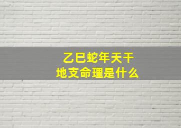 乙巳蛇年天干地支命理是什么