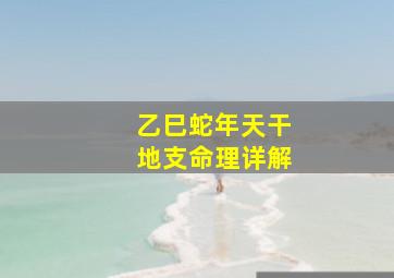 乙巳蛇年天干地支命理详解