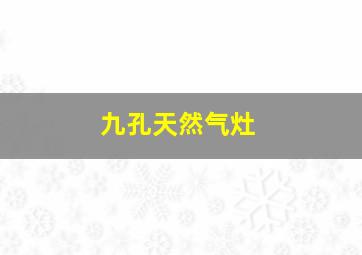 九孔天然气灶