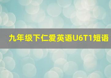 九年级下仁爱英语U6T1短语