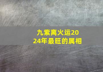 九紫离火运2024年最旺的属相