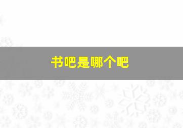 书吧是哪个吧