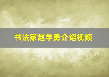 书法家赵学勇介绍视频