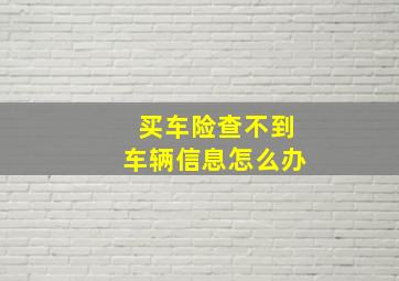 买车险查不到车辆信息怎么办