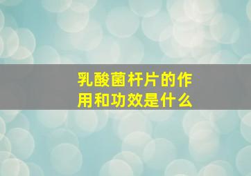 乳酸菌杆片的作用和功效是什么