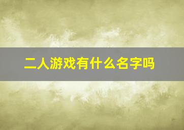 二人游戏有什么名字吗