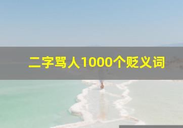 二字骂人1000个贬义词