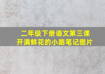 二年级下册语文第三课开满鲜花的小路笔记图片